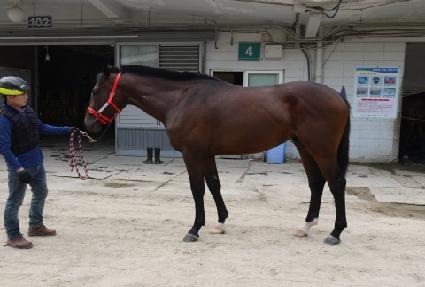 ���κ� ����