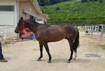 Ž������ (TAMNA JEONGBEOL) ����