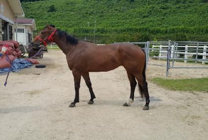 �ؾ� ����