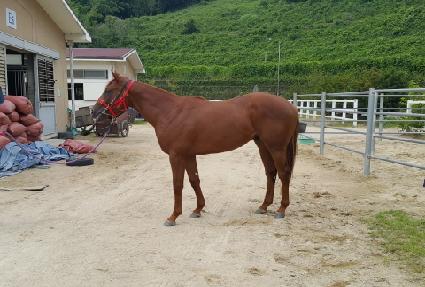 ���ƿ����漱 ����