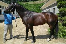 ���� (SINHANG) ����