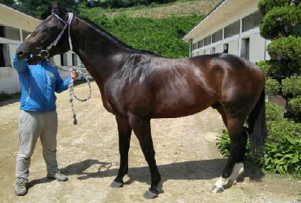 ���� ����