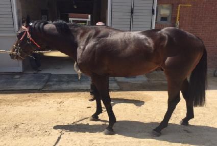 ��� ����