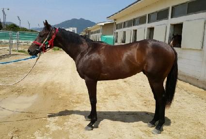 �����帲 ����