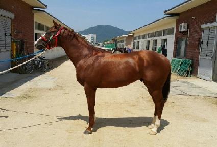 ���潺Ÿ ����