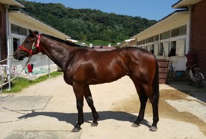 �½��Ǹ� ����