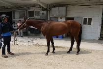 ����Ŀ� (KWAESOK POWER) ����