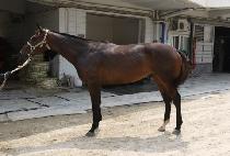 �������� (SINJO DAEHYEOP) ����