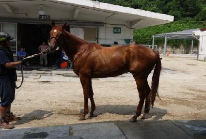 ���������� ����