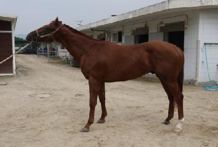 ����Ƽ�� ����