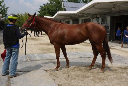 �Ѻ����� ����