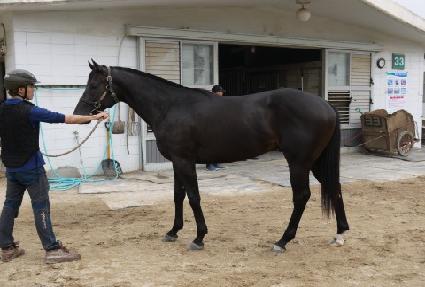 ��̿��� ����