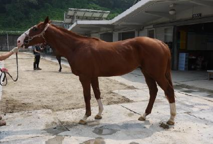 �ڷ���Ʈ ����