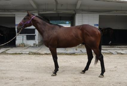 ��Ƽ�� ����