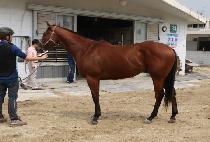 ������ȭ�� (OS HWADAP) ����