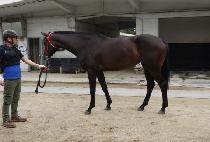 �������ϵ� (IM WELL ARMED) ����