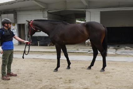 �������ϵ� ����