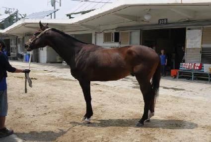 ���ʷ��� ����