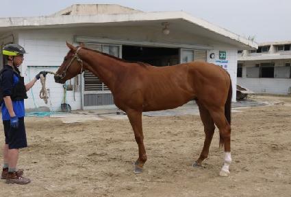 �����Ĺ� ����