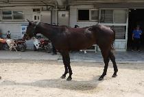 �ְ��� (CHOEGANGJA) ����