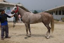 ������Ƽ (HIDDEN PARTY) ����