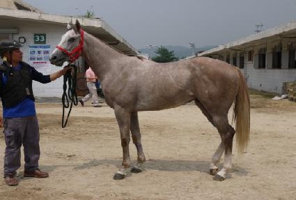 ������Ƽ ����