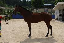 �ٶ������� (BARAM SOGEURO) ����