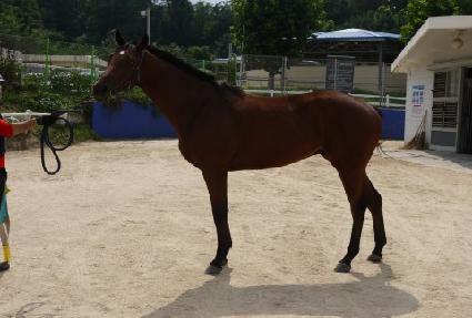 �ٶ������� ����