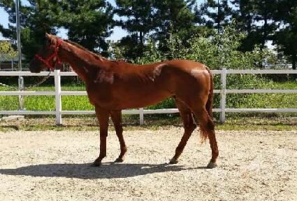 ����¡è�� ����