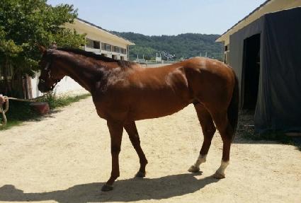 �����¾� ����