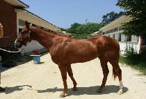 �Ϲ��ô� (BUKBEOL SIDAE) ����