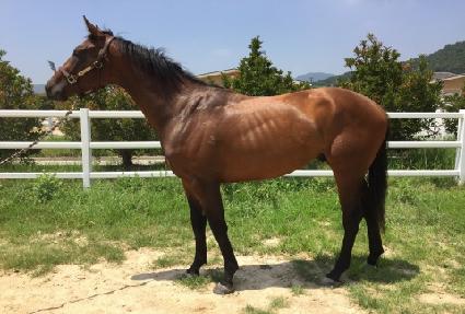 �޹� ����