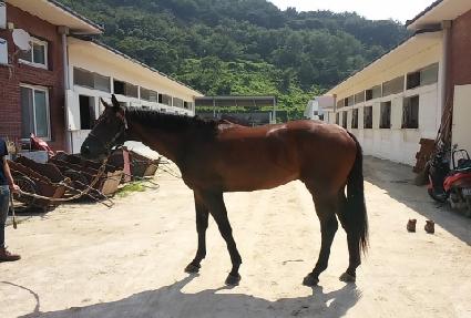 ���̽����� ����