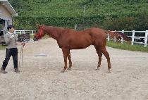 ��¶��� (USEUNG LINE) ����