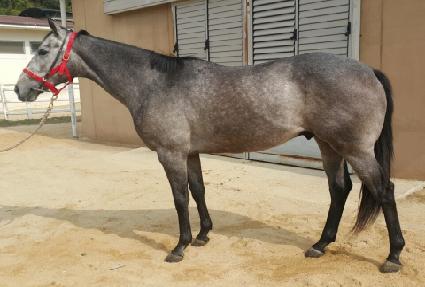 ���� ����