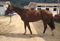 ������ũ (TURNPIKE) ����