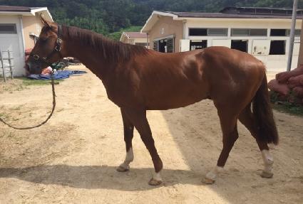 ������ũ ����