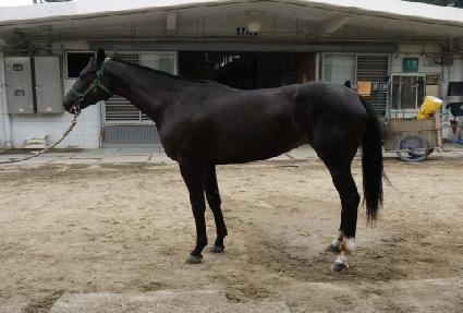 Ȳ�ݵ��� ����