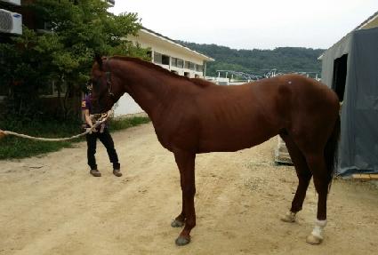 �Ŀ��޽��� ����