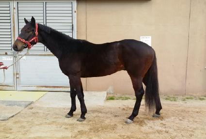 õ��� ����