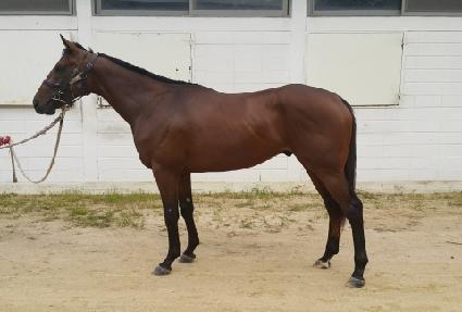 �ʸ��������� ����