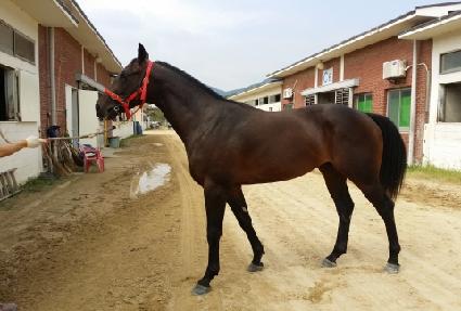 �밨���� ����