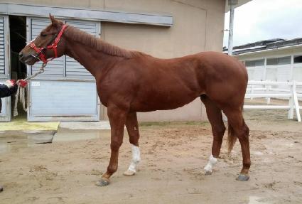 õ���� ����