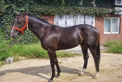 �����̽� ����