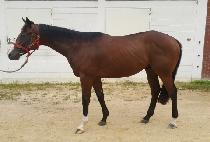 �Ĵٴ� (HUDADAK) ����