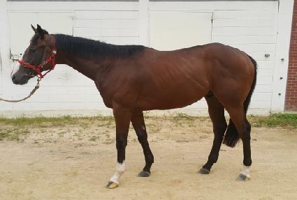 �Ĵٴ� ����