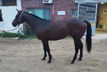 �丣�����ӷ��� (PERDIDO POMEROY) ����