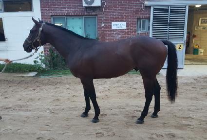 �丣�����ӷ��� ����