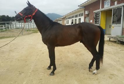 �����ְ� ����