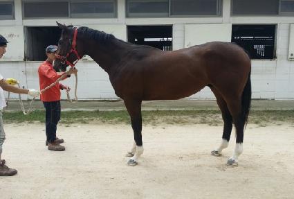 ��弭���̼� ����